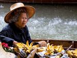 The Banana a fruiT living on Borrowed Time - BTC Trade for developmenT