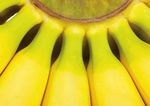 The Banana a fruiT living on Borrowed Time - BTC Trade for developmenT
