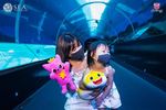 Photo release Dance and Groove to the Music as Pinkfong and Baby Shark Visit Fin-tastic Friends at S.E.A. Aquarium! - Dance and Groove to the ...