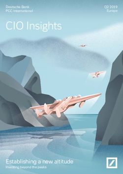 CIO Insights - Establishing a new altitude Investing beyond the peaks - Q2 2019 Europe - Deutsche Bank