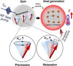 Ultra high rate of temperature increment from superparamagnetic nanoparticles for highly efficient hyperthermia - Nature