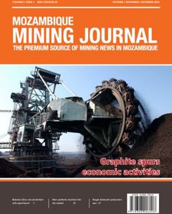 Graphite spurs economic activities - Mozambique Mining Journal