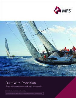 Built With Precision Designed to pursue your risk and return goals - MFS Asset Allocation Funds