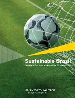 Sustainable Brazil Social and Economic Impacts of the 2014 World Cup