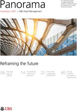 Panorama - Investing in 2021
