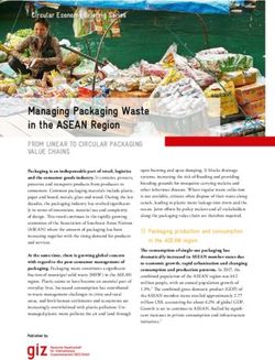 Managing Packaging Waste in the ASEAN Region - Giz