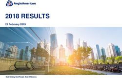 2018 RESULTS 21 February 2019 - Anglo American