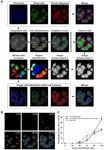 JBC Papers in Press. Published on January 9, 2020 as Manuscript RA119.011319