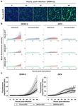 JBC Papers in Press. Published on January 9, 2020 as Manuscript RA119.011319