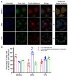 JBC Papers in Press. Published on January 9, 2020 as Manuscript RA119.011319