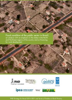 Fiscal condition of the public sector in Brazil