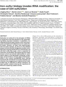 Iron-sulfur biology invades tRNA modification: the case of U34 sulfuration