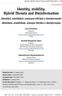 Identity, stability, Hybrid Threats and Disinformation