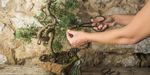 Workshop Program - Skills for connected, sustainable lives SEPTEMBER 2022 - JUNE 2023 - Perth City Farm
