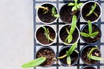 Workshop Program - Skills for connected, sustainable lives SEPTEMBER 2022 - JUNE 2023 - Perth City Farm