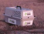 STRATEGIC PLAN 2015-2020 - 40+ YEARS OF SAVING AND PROTECTING SPECIES - TORONTO ZOO