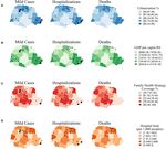 Biodiversity of Potential Vectors of Rickettsiae and Epidemiological Mosaic of Spotted Fever in the State of Paran&aacute;, Brazil