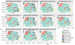 Biodiversity of Potential Vectors of Rickettsiae and Epidemiological Mosaic of Spotted Fever in the State of Paran&aacute;, Brazil