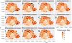 Biodiversity of Potential Vectors of Rickettsiae and Epidemiological Mosaic of Spotted Fever in the State of Paran&aacute;, Brazil