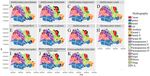 Biodiversity of Potential Vectors of Rickettsiae and Epidemiological Mosaic of Spotted Fever in the State of Paran&aacute;, Brazil