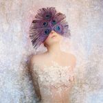 ANNUAL PRINT EXHIBITION 2022 - Winchester Photographic Society