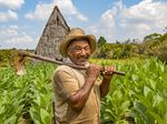 ANNUAL PRINT EXHIBITION 2022 - Winchester Photographic Society