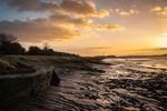 ANNUAL PRINT EXHIBITION 2022 - Winchester Photographic Society