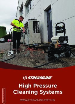 High Pressure Cleaning Systems - ELIMINATING POLE SPIN WWW.STREAMLINE.SYSTEMS - Streamline Systems