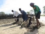 EMERGENCY CASH AND COVID-19 - Lessons from Namibia - Namibia drought 2013-14 and Emergency Cash grant 2020 - Rev. Dr. Claudia & Rev. Dr. Dirk Haarmann