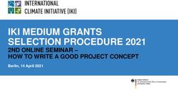 IKI MEDIUM GRANTS SELECTION PROCEDURE 2021 - 2ND ONLINE SEMINAR - HOW TO WRITE A GOOD PROJECT CONCEPT