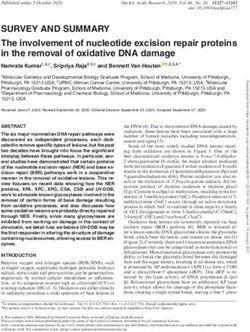 SURVEY AND SUMMARY The involvement of nucleotide excision repair proteins in the removal of oxidative DNA damage - Glen Research