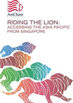 RIDING THE LION: ACCESSING THE ASIA PACIFIC FROM SINGAPORE