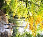 Economy The - Bolton Council