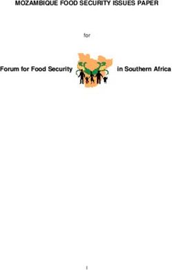 MOZAMBIQUE FOOD SECURITY ISSUES PAPER - FFoorruumm ffoorr FFoooodd SSeeccuurriittyy