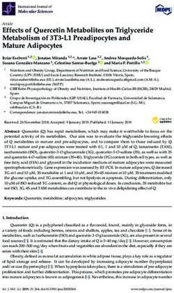 Effects of Quercetin Metabolites on Triglyceride Metabolism of 3T3-L1 Preadipocytes and Mature Adipocytes