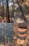 DOE Bioenergy Technologies Office (BETO) 2021 Project Peer Review Feedstock Variability
