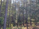 DOE Bioenergy Technologies Office (BETO) 2021 Project Peer Review Feedstock Variability