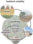 DOE Bioenergy Technologies Office (BETO) 2021 Project Peer Review Feedstock Variability