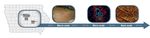 DOE Bioenergy Technologies Office (BETO) 2021 Project Peer Review Feedstock Variability
