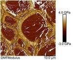DOE Bioenergy Technologies Office (BETO) 2021 Project Peer Review Feedstock Variability