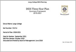 DEIS Three-Year Plan - Largy College