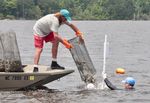 Riding the Oyster Highway - Storm recovery - Page 3 Good striper news - Page 6 Oyster study- Page 7 - CCA NC