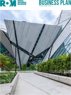 BUSINESS PLAN - Royal Ontario Museum