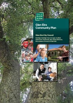 GLEN EIRA COMMUNITY PLAN - GLEN EIRA CITY COUNCIL BENTLEIGH, BENTLEIGH EAST, CARNEGIE, CAULFIELD, ELSTERNWICK, GARDENVALE, GLEN HUNTLY, MCKINNON ...