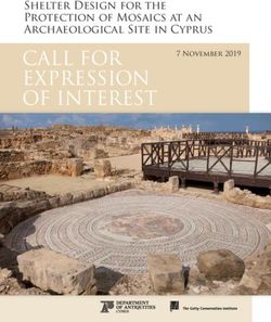 CALL FOR EXPRESSION OF INTEREST - Shelter Design for the Protection of Mosaics at an Archaeological Site in Cyprus