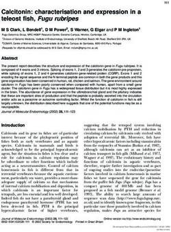Calcitonin: characterisation and expression in a teleost fish, Fugu rubripes