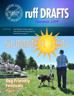 SUMMER FUN - Dog Friendly Festivals - Summer 2019 - Dog Writers Association of America