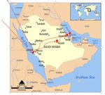 SAUDI ARABIA with Dubai & Bahrain - January 19-29, 2022 11 Days / 9 Nights