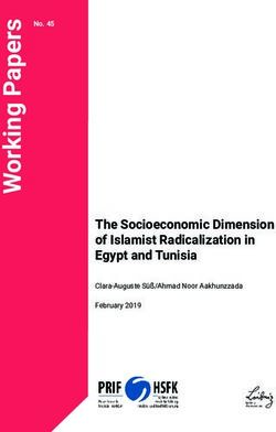 The Socioeconomic Dimension of Islamist Radicalization in Egypt and Tunisia - No. 45 - HSFK