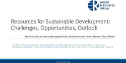 Resources for Sustainable Development: Challenges, Opportunities, Outlook - UNECE